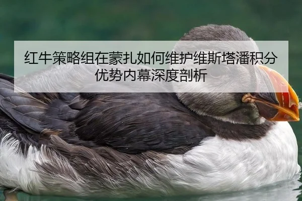 hong-niu-ce-lve-zu-zai-meng-zha-ru-he-wei-hu-wei-si-ta-pan-ji-fen-you-shi-nei-mu-shen-du-pou-xi-3-200.jpg