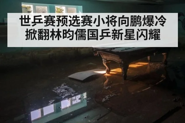 世乒赛预选赛小将向鹏爆冷掀翻林昀儒国乒新星闪耀